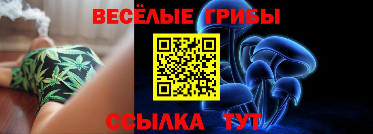 Псилоцибиновые грибы мицелий  Вход с VPN  Гусиноозёрск 